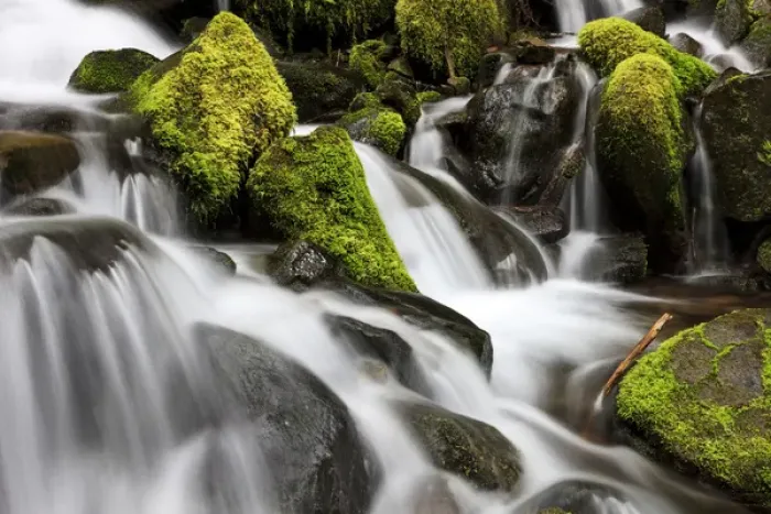 Framed Print : Waterfall. Olympic National Park, Washington, US Framed Print : Waterfall. Olympic National Park, Washington, US