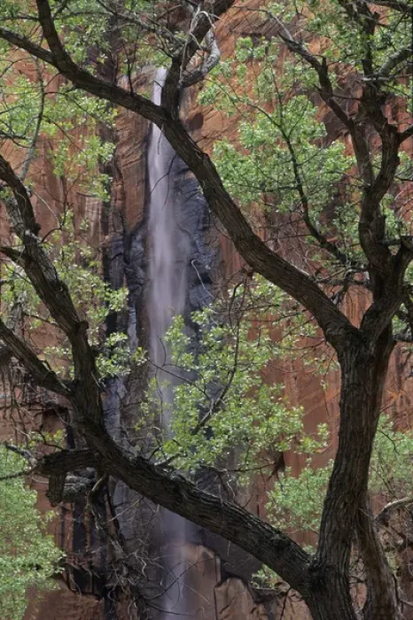 Framed Print : Waterfall plunges 1000 feet into Zion Canyon above Temple of Sinewava, Zion National Park Framed Print : Waterfall plunges 1000 feet into Zion Canyon above Temple of Sinewava, Zion National Park