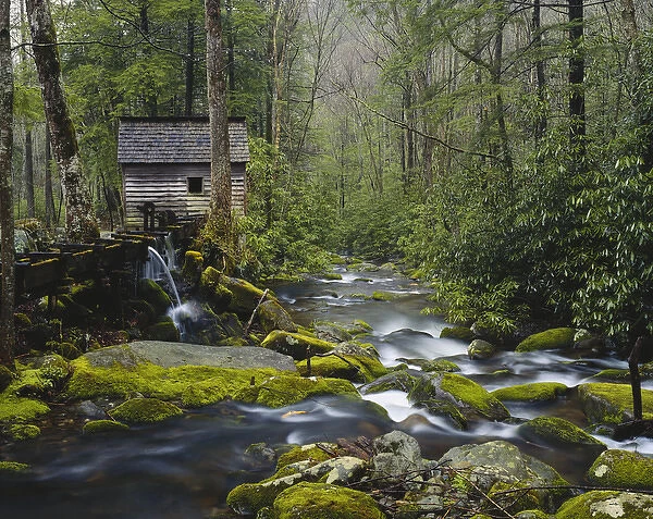 Watermill by stream in forest, Roaring Fork, Great Smoky Mountains National Park
