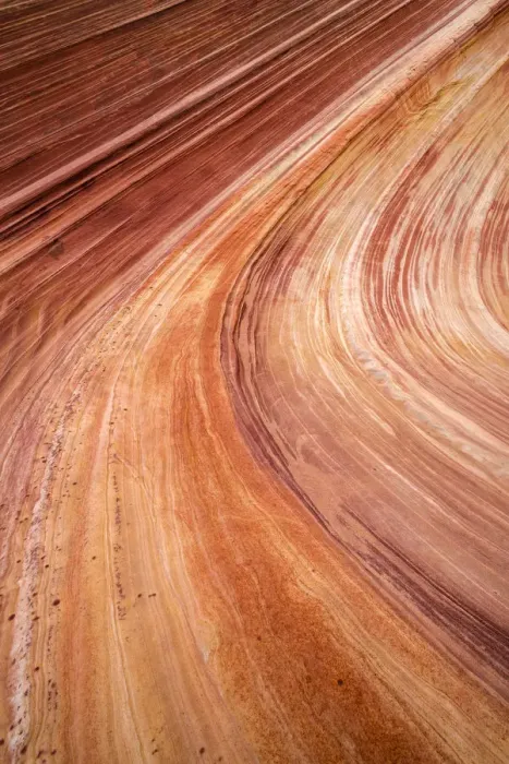 Framed Print : The Wave, Coyote Buttes, Paria-Vermilion Cliffs Wilderness, Arizona, USA Framed Print : The Wave, Coyote Buttes, Paria-Vermilion Cliffs Wilderness, Arizona, USA