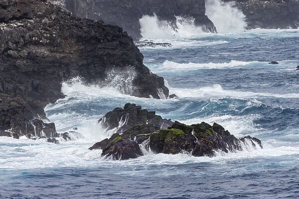 Waves crashing over lava rocks on shoreline of Espanola Island, Galapagos Islands, Ecuador