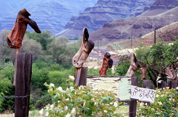 Weathered boots; fenceposts; Imanha river canyon, Oregon; rural; humor; footwear