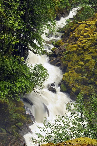 Wells Creek; Mount Baker-Snoqualmie National Forest; Washington; USA