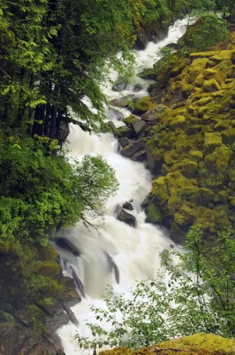 Framed Print : Wells Creek; Mount Baker-Snoqualmie National Forest; Washington; USA Framed Print : Wells Creek; Mount Baker-Snoqualmie National Forest; Washington; USA