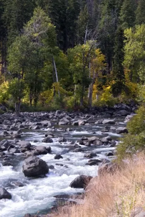 Framed Print : Wenatchee River in Autumn, near Leavenworth, Washington