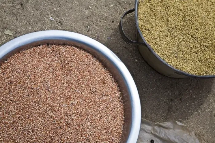 Framed Print : West Africa, Benin. Close-up shot of grains for sale at open-air market