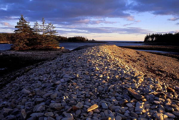West Pond Cove, Acadia N. P. ME. Rocky Coast. Schoodic Peninsula. The rocky barrier