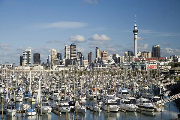 Westhaven Marina, Auckland, North Island, New Zealand