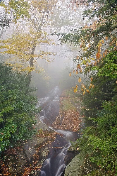 Wet weather waterfall in foggy forest; Pisgah National Forest; North Carolina