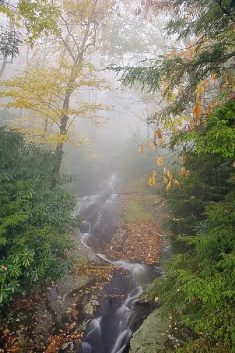 Framed Print : Wet weather waterfall in foggy forest; Pisgah National Forest; North Carolina Framed Print : Wet weather waterfall in foggy forest; Pisgah National Forest; North Carolina