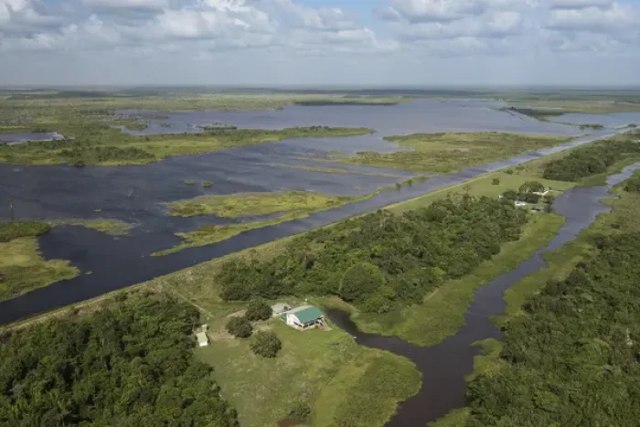 Framed Print : Wetland MMA, Abari Swamps, Mahaica Miconi Abari, GUYANA