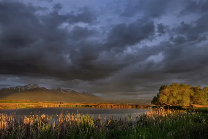 Framed Print : Wetlands pond reflects the Mission Mountains at sunset at the Ninepipe National Wildlife Refuge near Ronan, Montana, USA. (Editorial Use Only) Framed Print : Wetlands pond reflects the Mission Mountains at sunset at the Ninepipe National Wildlife Refuge near Ronan, Montana, USA. (Editorial Use Only)