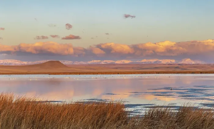 Framed Print : Wetlands pond at sunrise at Freezeout Lake Wildlife Management Area near Choteau, Montana, USA