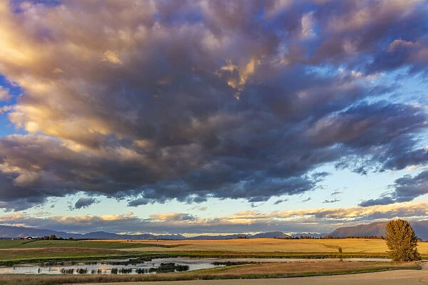 Wetlands provide critical bird habitat in the Flathead Valley, Montana, USA