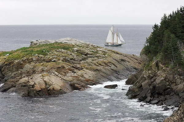 Whale Watching Tours on a Tall Ship, Middle Head, Cape Breton Highlands National Park