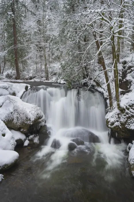 Framed Print : Whatcom Falls after fresh dusting of winter snow. Whatcom Falls City Park, Bellingham Framed Print : Whatcom Falls after fresh dusting of winter snow. Whatcom Falls City Park, Bellingham