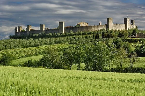 Wheat field and distant Monteriggioni, in the province of Siena, in the Italian region of Tuscany