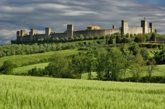 Framed Print : Wheat field and distant Monteriggioni, in the province of Siena, in the Italian region of Tuscany Framed Print : Wheat field and distant Monteriggioni, in the province of Siena, in the Italian region of Tuscany