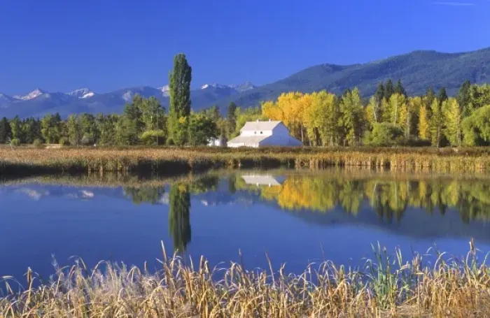 Framed Print : A white barn and beautiful fall foliage is reflected in pond at the Lee Metcalf National Framed Print : A white barn and beautiful fall foliage is reflected in pond at the Lee Metcalf National
