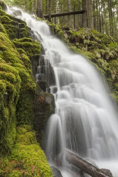 Framed Print : White Branch Falls, Oregon Cascades, Oregon Framed Print : White Branch Falls, Oregon Cascades, Oregon
