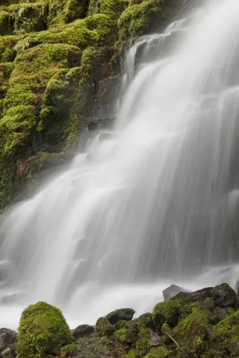 Framed Print : White Branch Falls, Oregon Cascades, Oregon Framed Print : White Branch Falls, Oregon Cascades, Oregon
