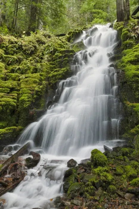 Framed Print : White Branch Falls, Oregon Cascades, Oregon Framed Print : White Branch Falls, Oregon Cascades, Oregon