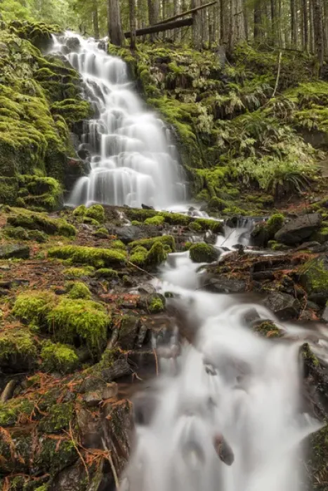 Framed Print : White Branch Falls, Oregon Cascades, Oregon Framed Print : White Branch Falls, Oregon Cascades, Oregon