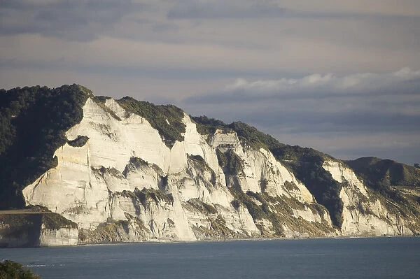 White Cliffs, Taranaki, North Island, New Zealand