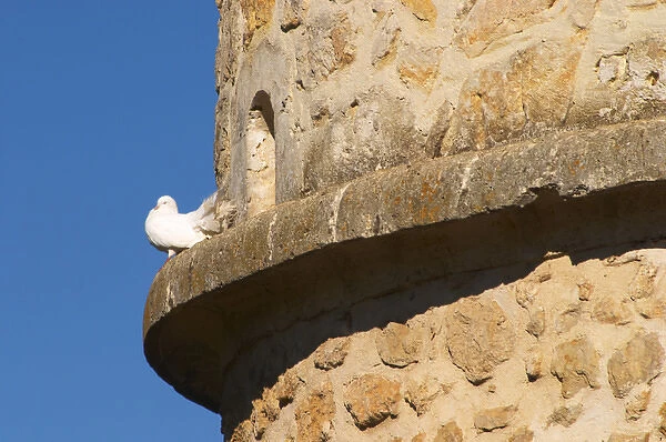 A white dove standing on a ledge of an old stone dovecote dove house against a clear
