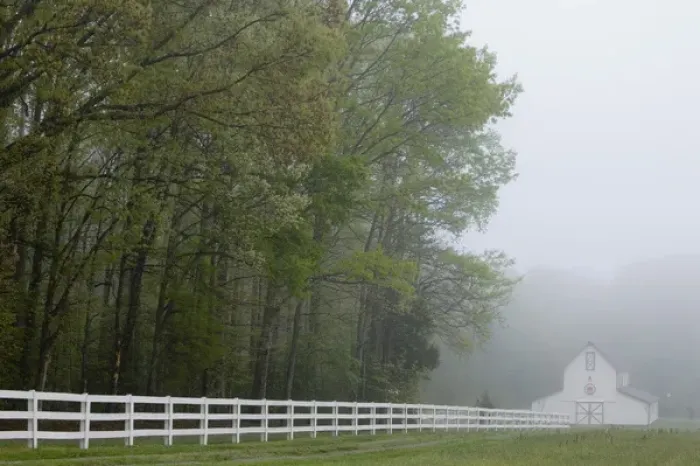 Framed Print : White farmhouse and fence in mist, Powhatan, Virginia, United States