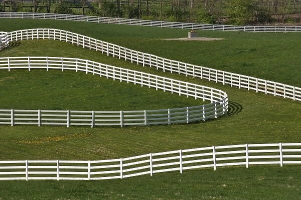 White fence winding across Calumet horse farm, Lexington, Kentucky
