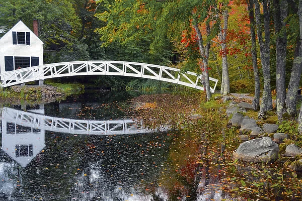 white footbridge, autumn, Mount Desert Historical Society, Somesville, Maine, USA