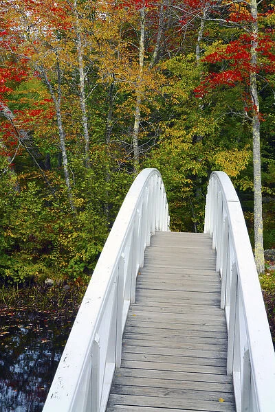 White Footbridge; Autumn; Somesville; Mount Desert Island; Maine; USA