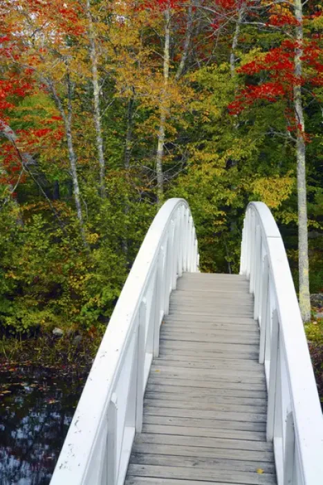 Framed Print : White Footbridge; Autumn; Somesville; Mount Desert Island; Maine; USA Framed Print : White Footbridge; Autumn; Somesville; Mount Desert Island; Maine; USA