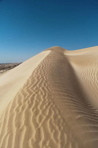 The white sand dunes of the Khaluf desert. Khaluf Desert, Arabian Peninsula, Oman