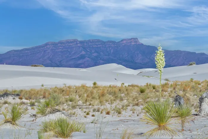 Framed Print : White Sands National Park Framed Print : White Sands National Park