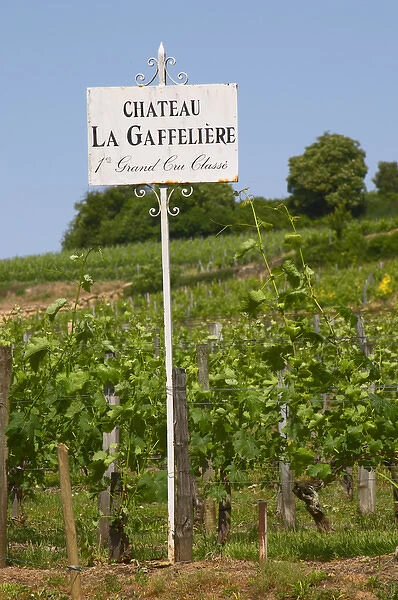 A white sign in the vineyard saying Chateau La Gaffeliere Gaffeliere 1st, premier