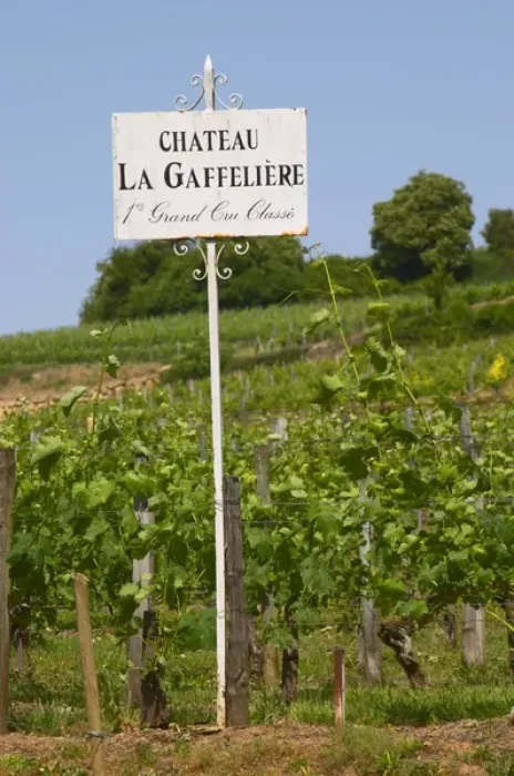 Framed Print : A white sign in the vineyard saying Chateau La Gaffeliere Gaffeliere 1st, premier Framed Print : A white sign in the vineyard saying Chateau La Gaffeliere Gaffeliere 1st, premier