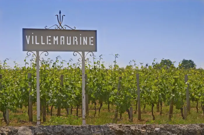Framed Print : A white sign in the vineyard saying Chateau Villemaurine Saint Emilion Bordeaux Framed Print : A white sign in the vineyard saying Chateau Villemaurine Saint Emilion Bordeaux