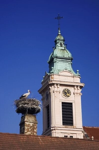 White Stork, Ciconia ciconia, adult on nest by church in Rust city, Rust, National