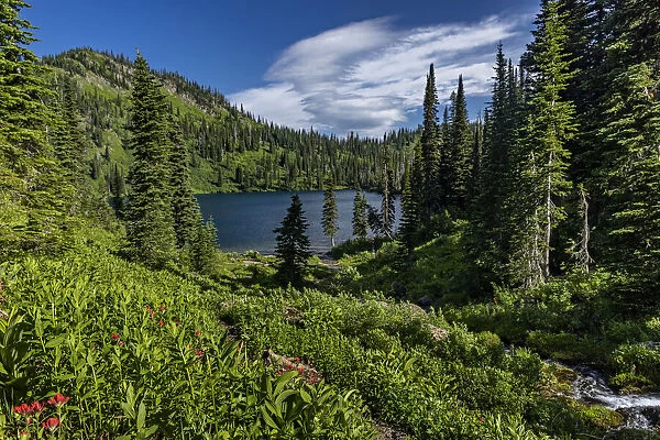 Wildcat Lake in the Jewel Basin Hiking Area of Flathead National Forest, Montana, USA