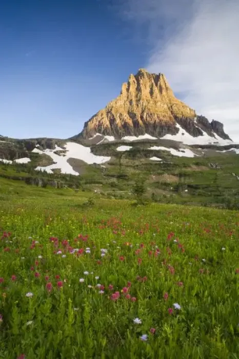 Framed Print : Wildflowers in the Hanging Gardens below Mt Clements at Logan Pass in Glacier National Framed Print : Wildflowers in the Hanging Gardens below Mt Clements at Logan Pass in Glacier National