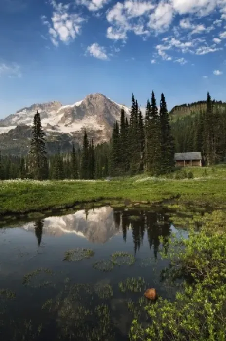 Framed Print : Wildflowers below the peak of Mount Rainier. A ptrol cabin near Indian Henry s Framed Print : Wildflowers below the peak of Mount Rainier. A ptrol cabin near Indian Henry s