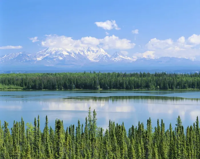 Framed Print : 06. Willow Lake with Mt. Wrangell in background Framed Print : 06. Willow Lake with Mt. Wrangell in background