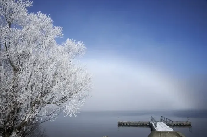 Framed Print : Willow Tree and Jetty in Hoar Frost, Lake Ohau, Mackenzie Country, South Island Framed Print : Willow Tree and Jetty in Hoar Frost, Lake Ohau, Mackenzie Country, South Island