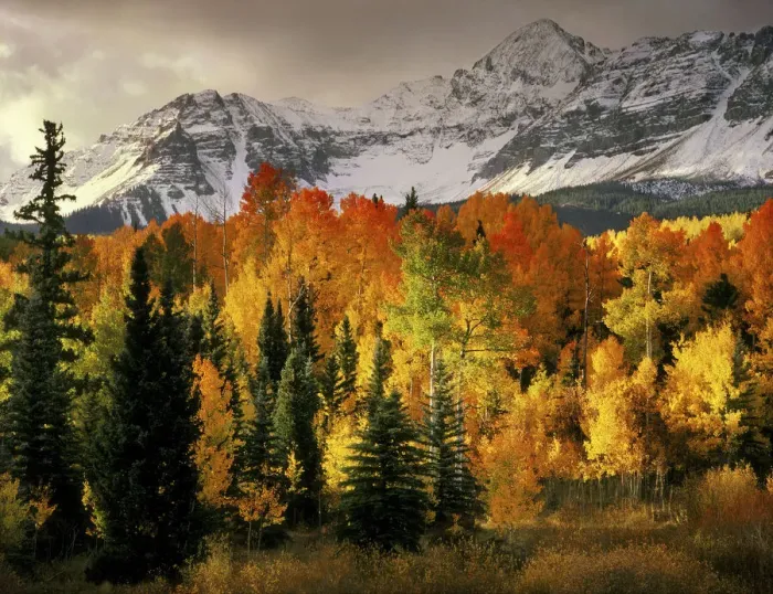 Framed Print : Wilson Peak near Telluride in the Colorado Rocky Mountains