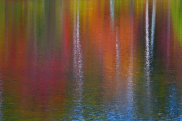 As the wind blew the surface of the water, the reflections became quite abstract