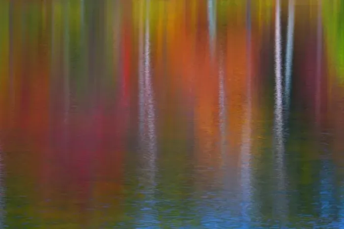 Framed Print : As the wind blew the surface of the water, the reflections became quite abstract Framed Print : As the wind blew the surface of the water, the reflections became quite abstract