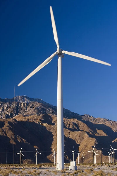 A wind farm in the San Gorgonio Mountain Pass in Palm Springs, California