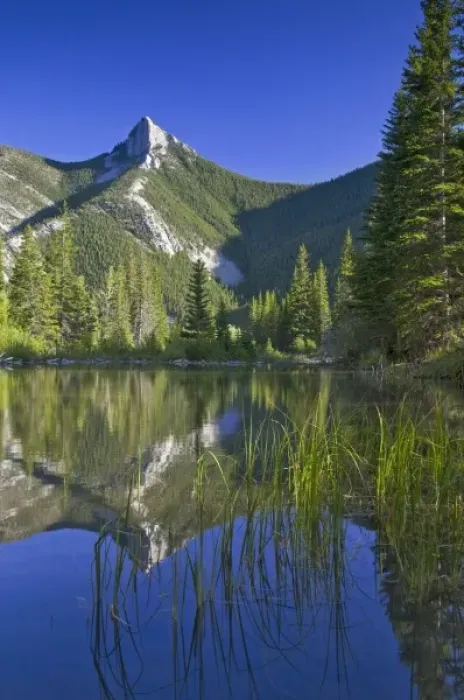 Framed Print : Wind Mountain reflects in a beaver pond in the Lewis and Clark National Forest of Montana